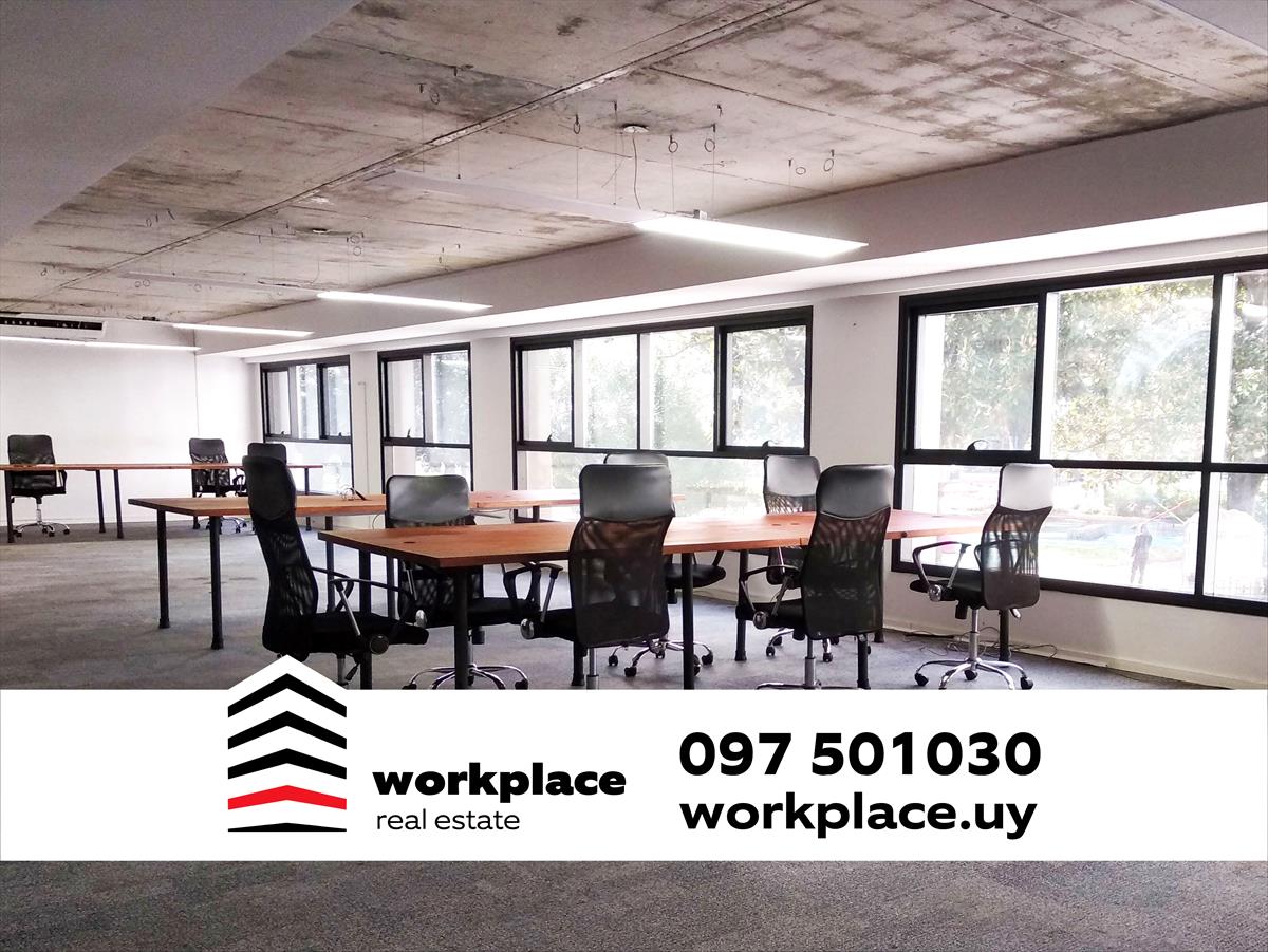 Alquiler de Oficina en Ciudad Vieja / Plaza Zabala