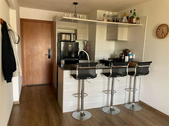 APARTAMENTO DE 1 DORMITORIO EN EDIFICIO BOHEMIAN