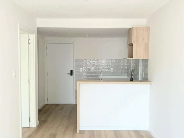 Apartamento de 1 dormitorio en alquiler