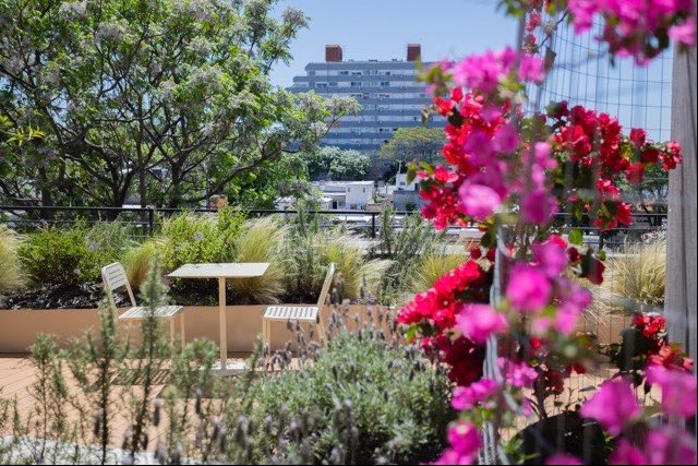 Apartamento de 2 dormitorios en alquiler con amenities