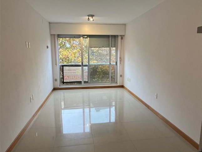 Al frente vista, aceptan todas las garantías