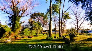 Terreno con 3 propiedades