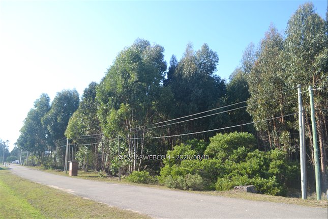 Chacra, Fortín de Santa Rosa - foto 2