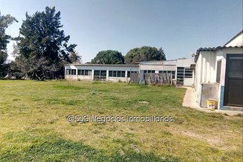 Local Industrial en Peñarol