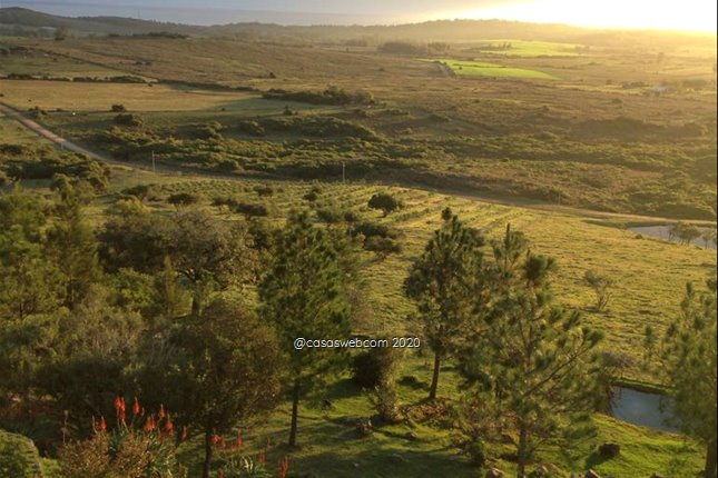 Chacras zona Cerro Pan De Azucar / Maldonado - foto 1