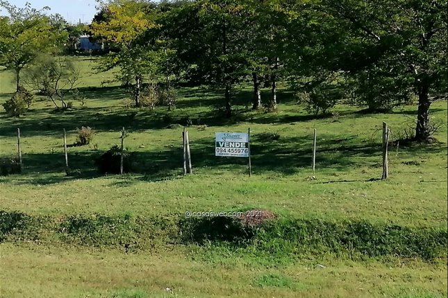 Campo, Canelones sobre Ruta 5 - foto 1