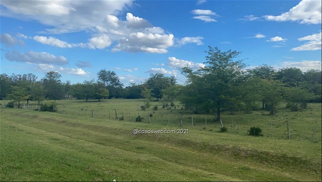 Campo, Canelones sobre Ruta 5 - foto 2