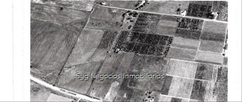 Campo sin mejoras 100% cosechable