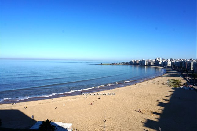 Venta Apartamento con Tenta Pocitos 3 Dormitorios 4 Baños Terraza Servicio 2 Garajes - foto 1