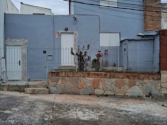 ARBOL VENDE O ALQUILA