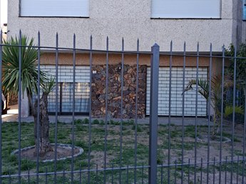 Arbol Vende