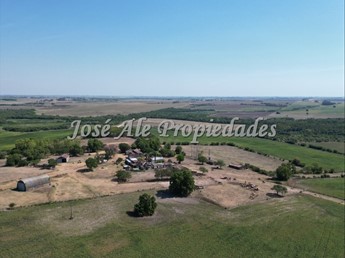 En Venta Campo Agricola De 187 Ha Ubicado A 23 Km De Carmel