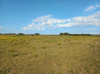 En Venta Chacra En Matamora Colonia Del Sacramento