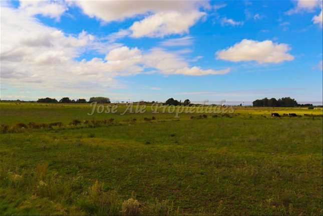 En Venta Parcela De 5 Hectareas, En Matamora, Colonia Del S - foto 2