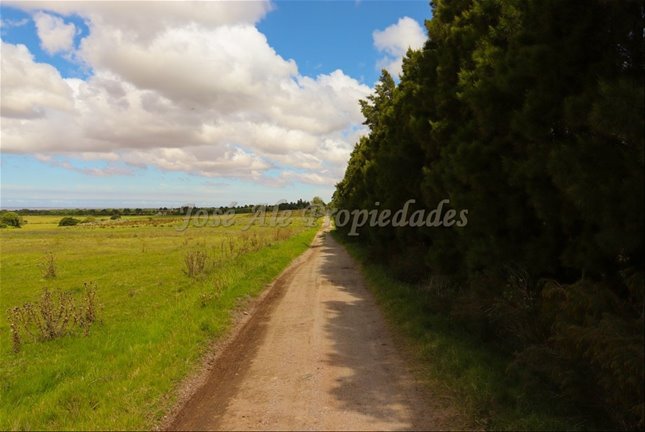 En Venta Parcela De 5 Hectareas, En Matamora, Colonia Del S - foto 3