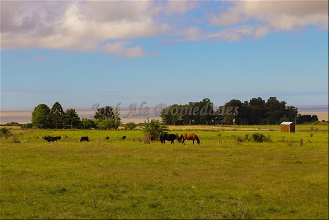 En Venta Parcela De 5 Hectareas, En Matamora, Colonia Del S - foto 4