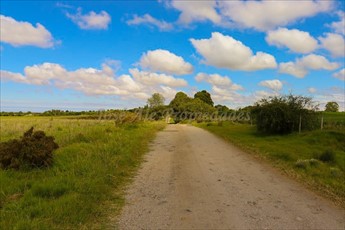 En Venta Parcela De 5 Hectareas, En Matamora, Colonia Del S - foto 5