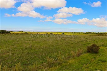 En Venta Parcela De 5 Hectareas, En Matamora, Colonia Del S - foto 6