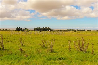 En Venta Parcela De 5 Hectareas, En Matamora, Colonia Del S - foto 7