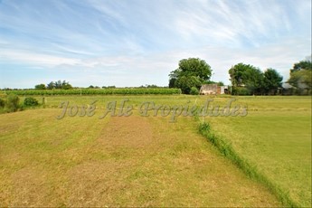 Chacra En Venta - Colonia Del Sacramento - foto 6