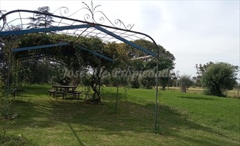 Chacra En Venta - Colonia Del Sacramento - foto 4
