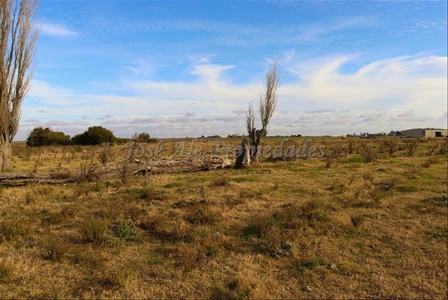 En Venta Hermosa Parcela De 4 Ha Ombues De Lavalle Colonia - foto 2