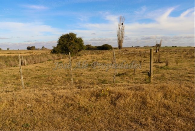 En Venta Hermosa Parcela De 4 Ha Ombues De Lavalle Colonia - foto 3