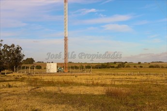 En Venta Hermosa Parcela De 4 Ha Ombues De Lavalle Colonia - foto 4