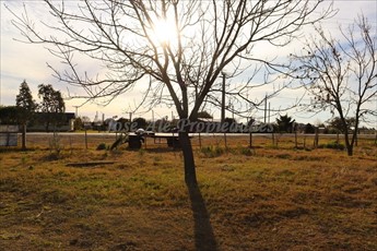 En Venta Hermosa Parcela De 4 Ha Ombues De Lavalle Colonia - foto 5