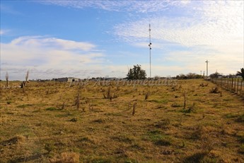En Venta Hermosa Parcela De 4 Ha Ombues De Lavalle Colonia - foto 6