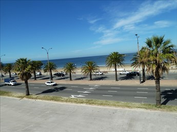 Apartamento 2 dormitorios 1 baño. Rambla Malvín!
