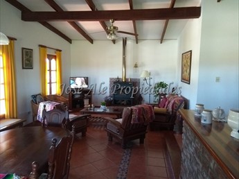 CHACRA DE 9 HA UBICADA EN PASO ANTOLIN, COLONIA. - foto 4