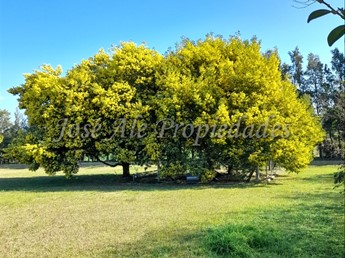 CHACRA DE 9 HA UBICADA EN PASO ANTOLIN, COLONIA. - foto 5