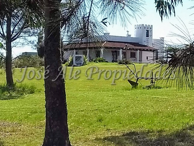 CHACRA DE 9 HA UBICADA EN PASO ANTOLIN, COLONIA. - foto 1