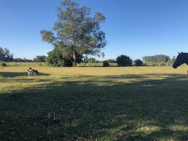 Venta Chacra Rural De Maldonado - foto 1