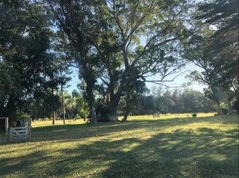 Venta Chacra Rural De Maldonado - foto 4