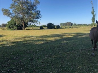 Venta Chacra Rural De Maldonado - foto 6