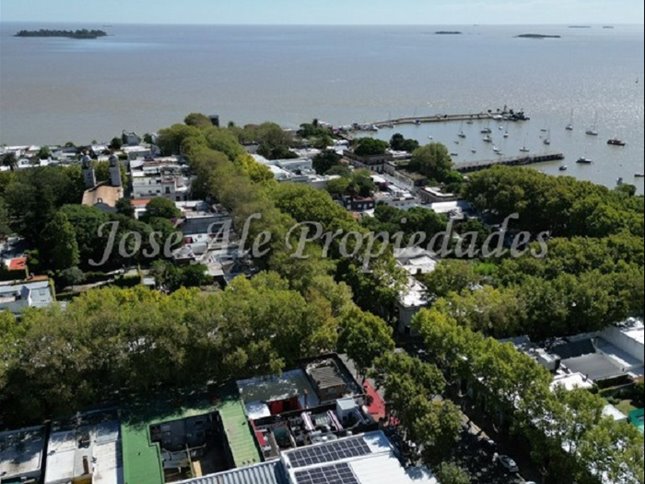 PARA INVERSORES EN VENTA PREDIO EN EL CENTRO DE COLONIA - foto 3