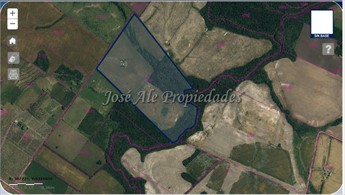 EN VENTA CAMPO DE 49 HA UBICADO A 10 KM DE CARMELO, COLONIA