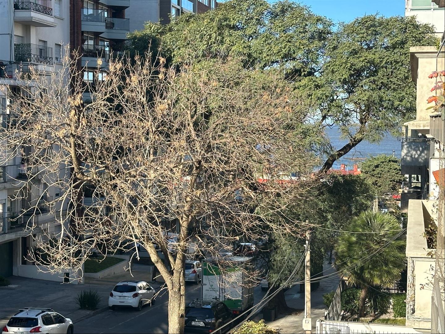 PUNTA CARRETAS Alquiler magnífico Apartamento 2 Dormitorios, 2 Baños, a 1 cuadra de la Rambla, amplio Living comedor, muy luminoso, amplias terrazas, Garaje · Photo 6