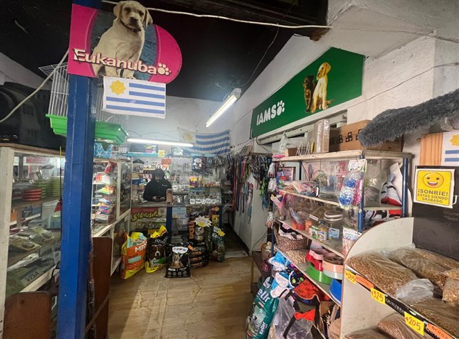 Venta local comercial de 277m2 sobre Gral Flores - foto 3
