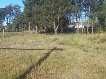 EXCELENTÍSIMA PROA COMERCIAL AV. GIANNATTASIO. Terreno Vent