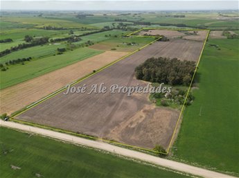 EN VENTA EN  EXCLUSIVIDAD CAMPO DE 41.5 HA, COLONIA