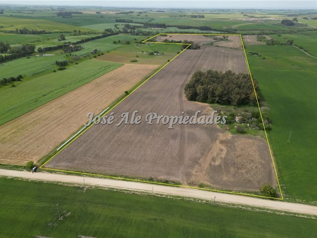 EN VENTA EN  EXCLUSIVIDAD CAMPO DE 41.5 HA, COLONIA - foto 3