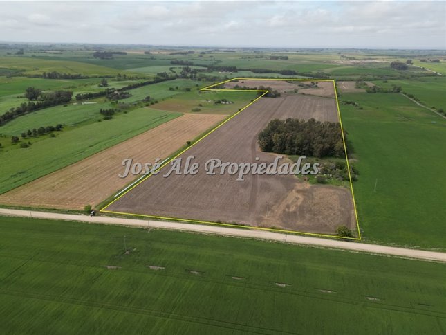 EN VENTA EN  EXCLUSIVIDAD CAMPO DE 41.5 HA, COLONIA - foto 4