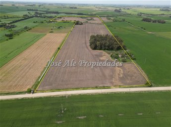 EN VENTA EN  EXCLUSIVIDAD CAMPO DE 41.5 HA, COLONIA - foto 5