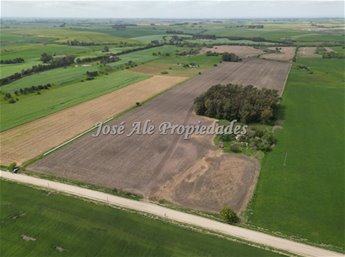EN VENTA EN  EXCLUSIVIDAD CAMPO DE 41.5 HA, COLONIA - foto 6