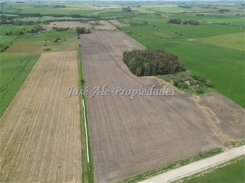 EN VENTA EN  EXCLUSIVIDAD CAMPO DE 41.5 HA, COLONIA - foto 7