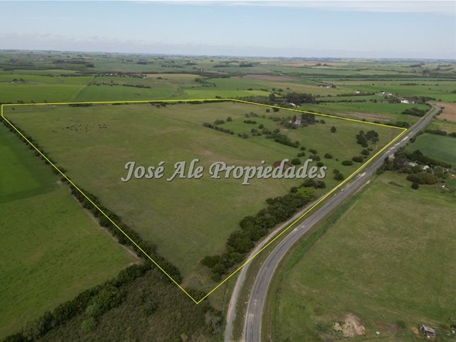 EN VENTA  EXCLUSIVIDAD NUEVO PRECIO! CAMPO DE 33.5 HA UBICADO EN PASO ANTOLIN, COLONIA - foto 3
