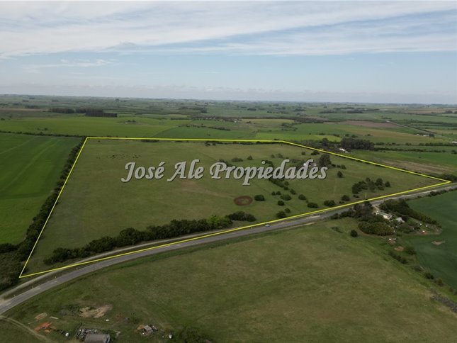 EN VENTA  EXCLUSIVIDAD NUEVO PRECIO! CAMPO DE 33.5 HA UBICADO EN PASO ANTOLIN, COLONIA - foto 2